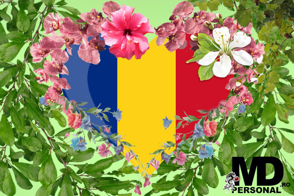 MDPersonal-articole Romania